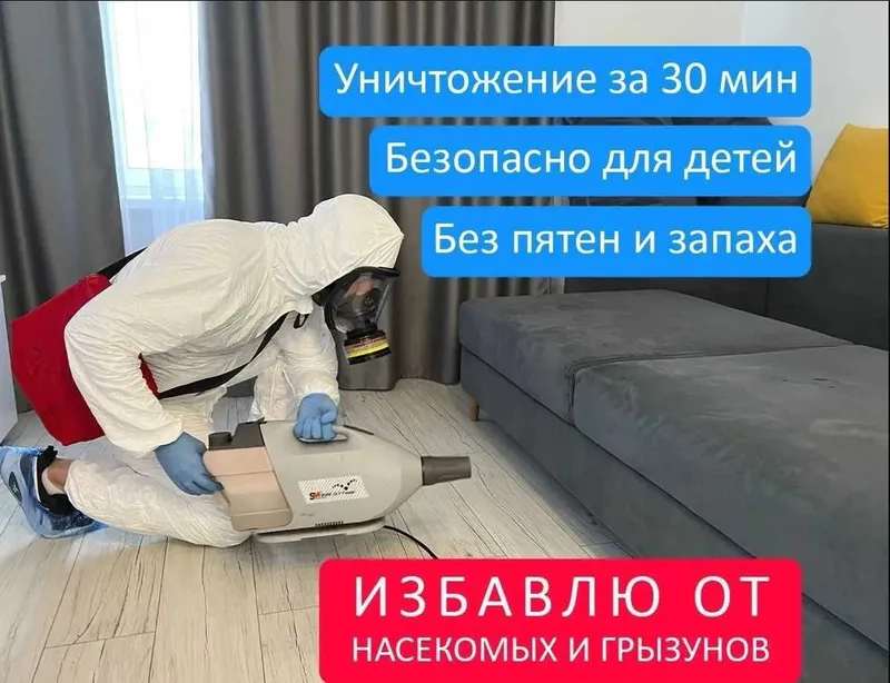 Dizinfeksiya klapa chumoli tarakan дезинфекция дезинсекция dezinfeksiy