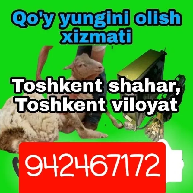 Куй юнгини олиш хизмати келишилган нархда — фото 1