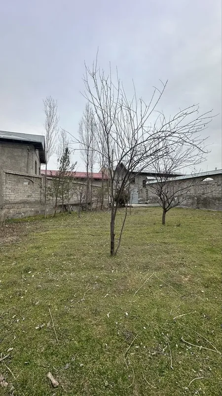 Izza temir bozor Токзор, Камчатка маҳалласида Ер сотилади — фото 5