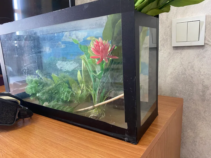 Akvarium 4 Akvarium 4