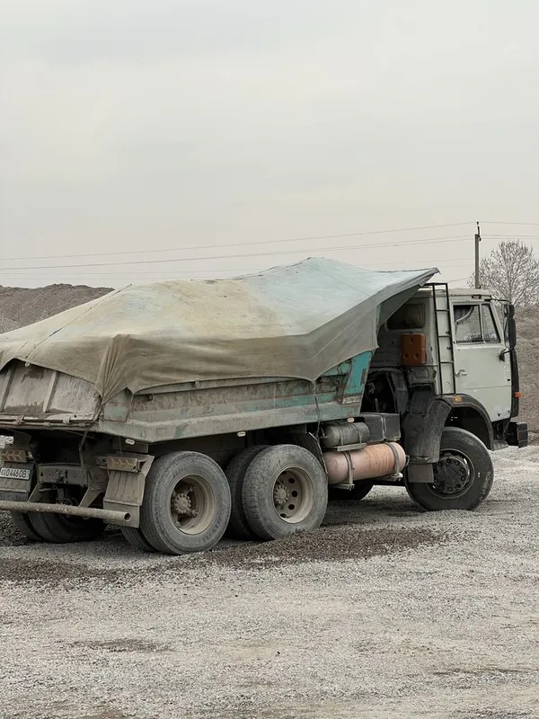 Klines sheben qum chinaz bluga sariq turpoq gisht poyma — фото 2