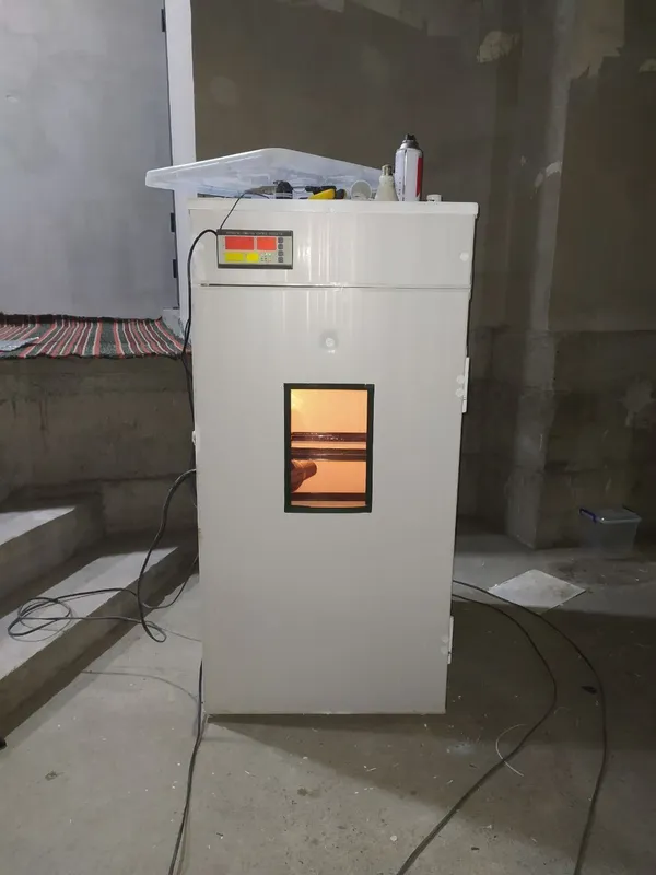 Инкубатор 350 талик