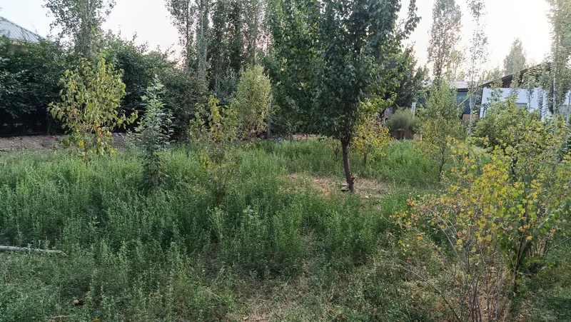 6 Sotix uchastka sotiladi 2 6 Sotix uchastka sotiladi 2