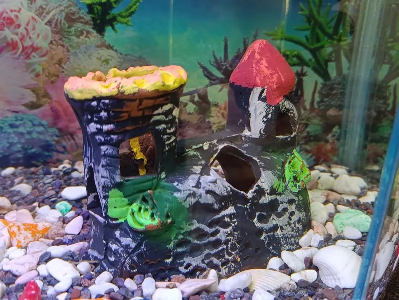 Akvarium sifatli sokin juda chiroyli ideal tanlov zo'r dizayn — фото 4
