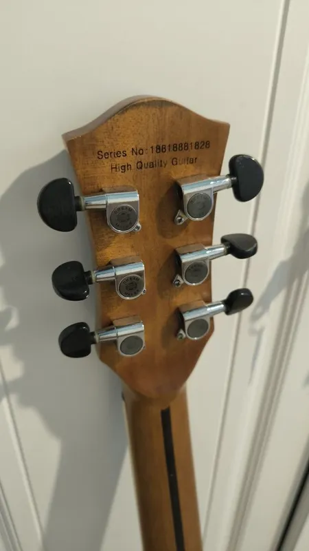 Professional akkustic gitara DREAM MAKER 5