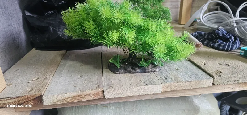 Akvarim uchun dekarasiya va otsadnik