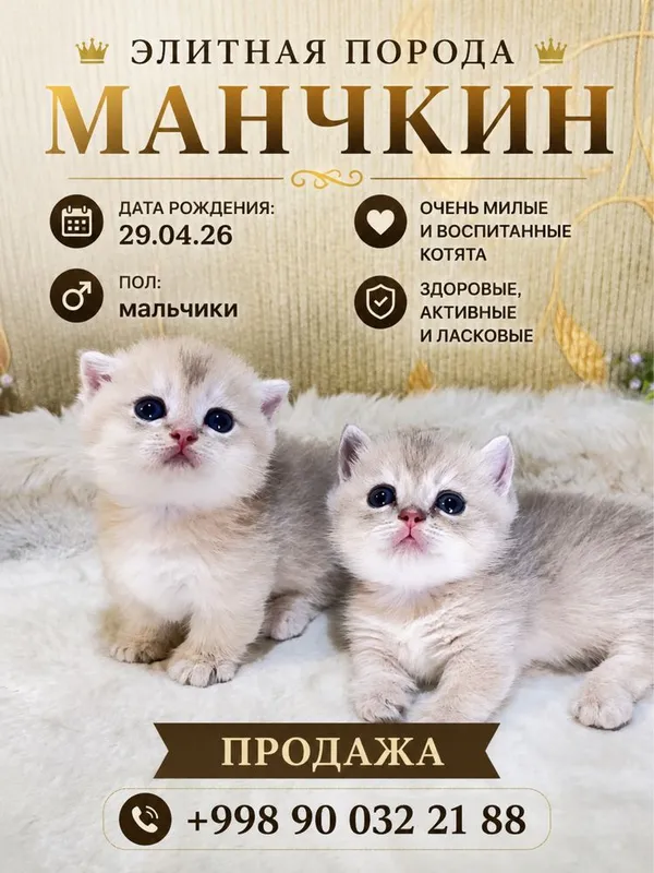 Манчкин премиум класса
