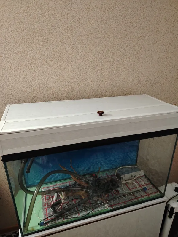 Akvarium, 240 l, o‘rnatilgan ventilyatorli qopqoq 3 Akvarium, 240 l, o‘rnatilgan ventilyatorli qopqoq 3