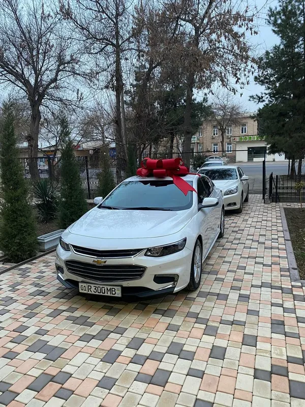 Малибу белый с красным бантом бантик бант украсим 1 Малибу белый с красным бантом бантик бант украсим 1