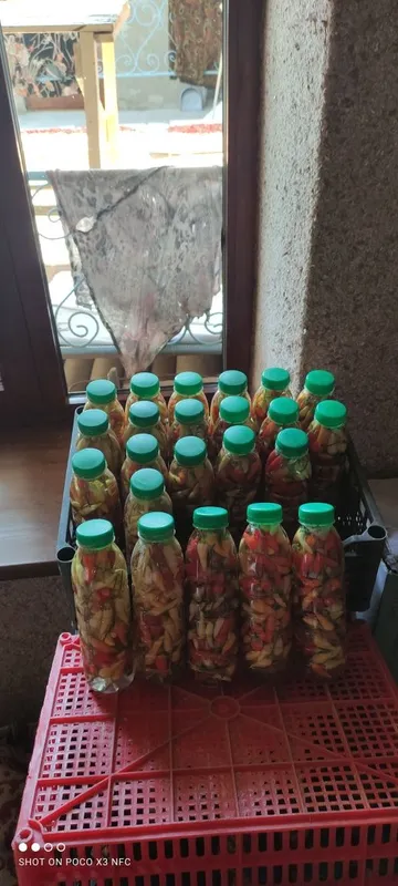 Qalampir tuzlangan Garimdori 3 Qalampir tuzlangan Garimdori 3
