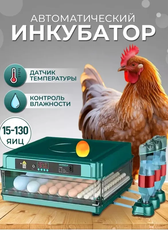 Inkubator 15 talik