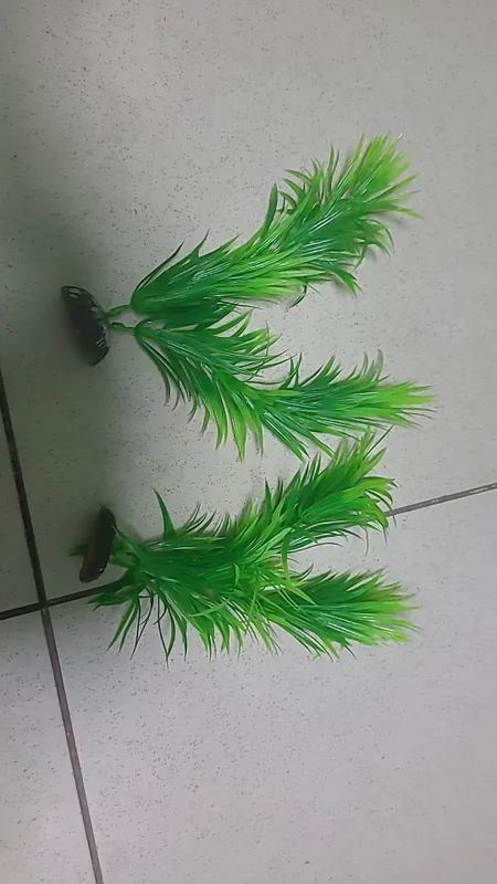 Akvariumga kerakliy buyumlar kengturda bor — фото 6