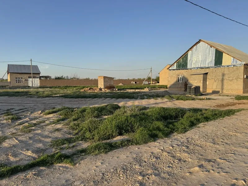 Termiz tuman 40 kalda 6 sotix yer sotiladi — фото 4