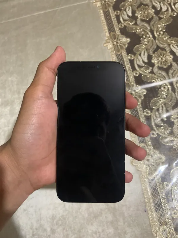 Iphone 12 Pro Ideal — фото 3