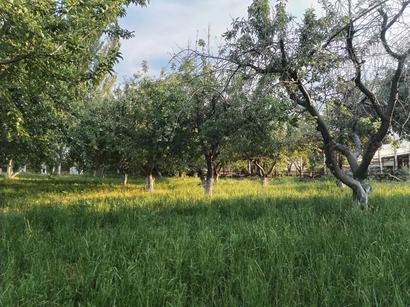 Продается земельный участок с жилым домом в городе Чирчик — фото 1