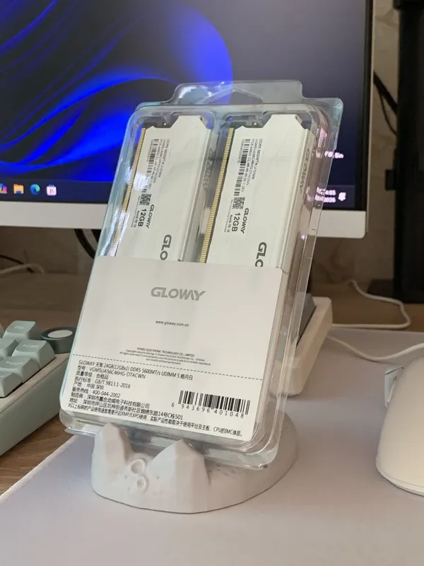 GLOWAY DDR5 24Gb RAM (12Gb x2) White
