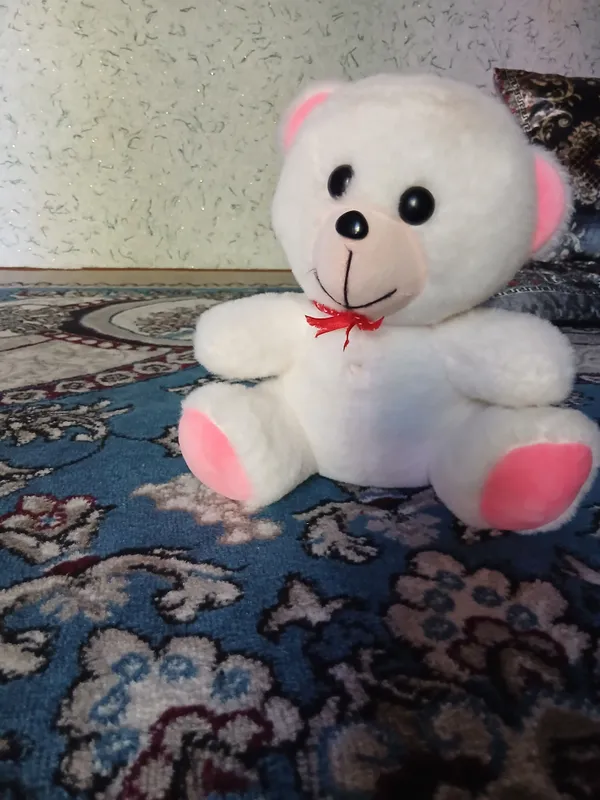 kichik ayiqcha sotiladi 15 ming som