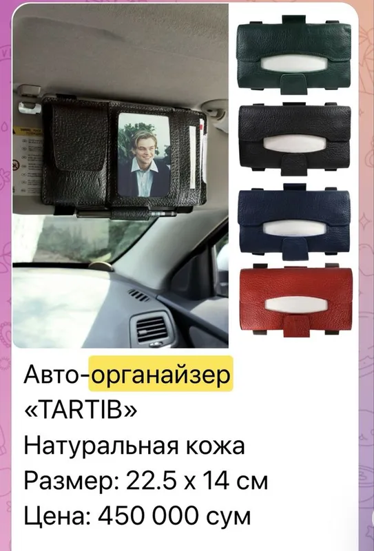 Продается органайзер Канишка для машины 1 Продается органайзер Канишка для машины 1