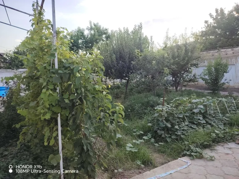 Namunali 5 xonadan iborat 6 sotixli kottej srochno sotiladi — фото 4 Namunali 5 xonadan iborat 6 sotixli kottej srochno sotiladi — фото 4