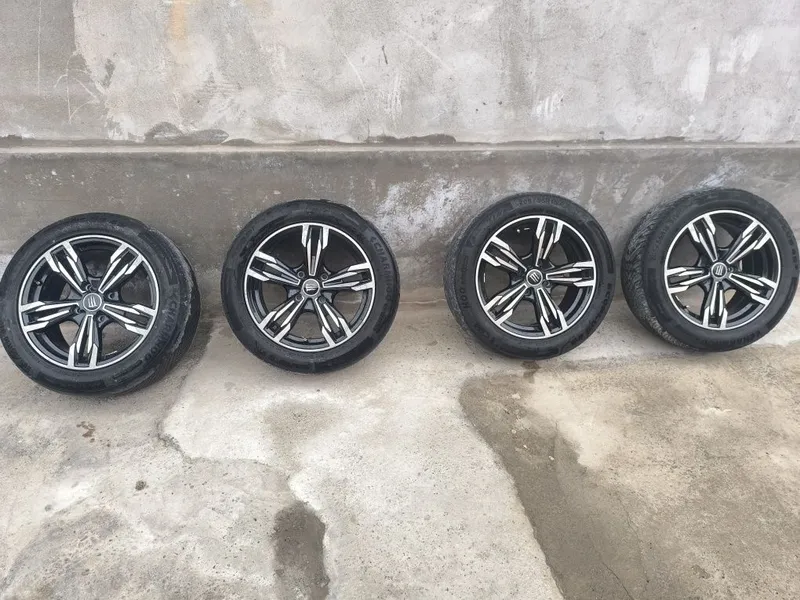 R17 diska. Jentradan yechilgan.