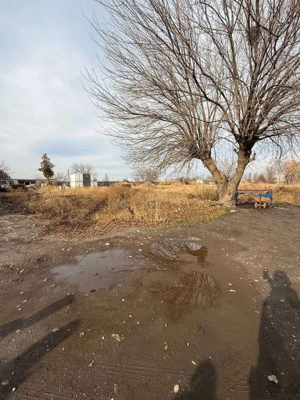 Продается земельный участок под каттеджный городок или производство — фото 1