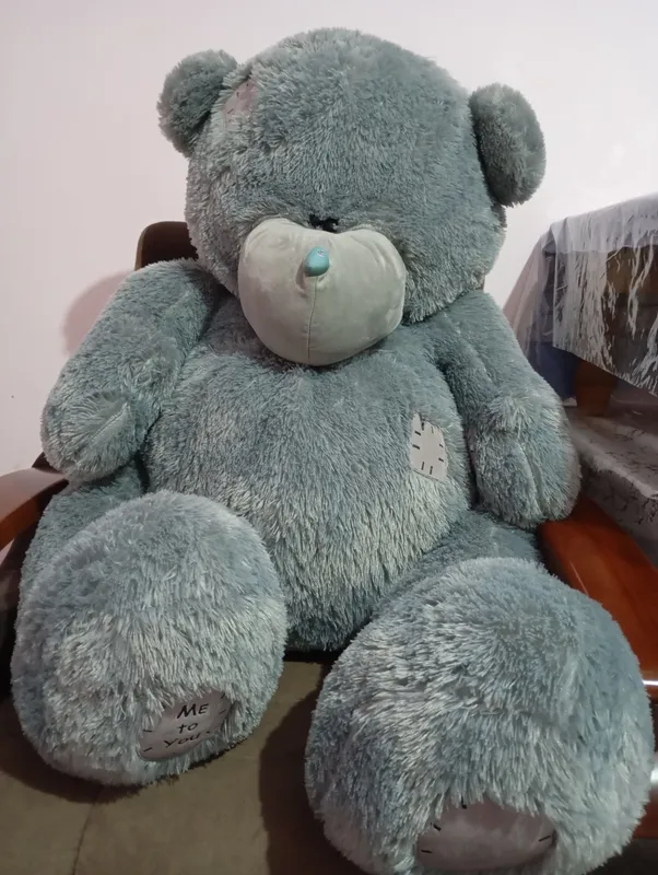 🐻 ayiq