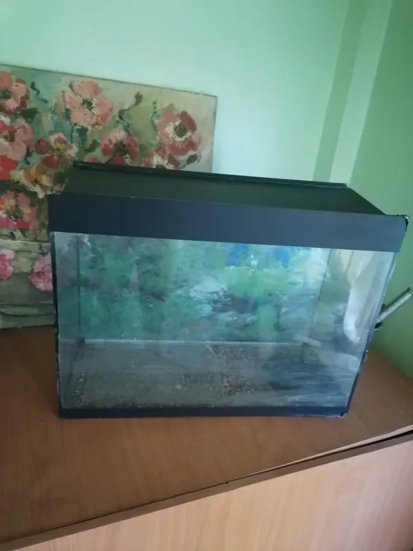 Akvarium 60*45*25 1 Akvarium 60*45*25 1
