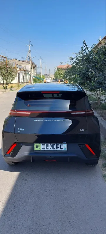 Byd seagull 2