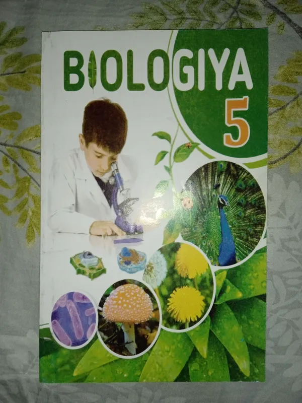 Книга Книга