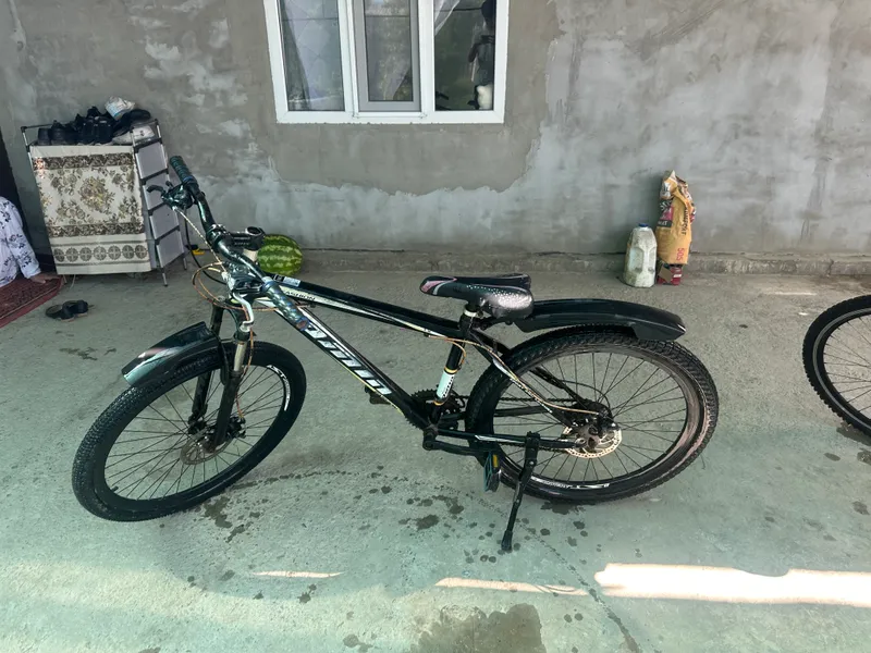 Velosiped 1