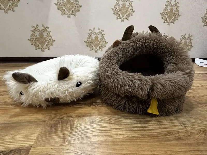 Лежанки для кошки