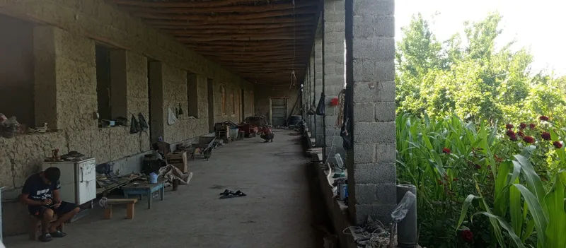 Продается участок - ферма — фото 1