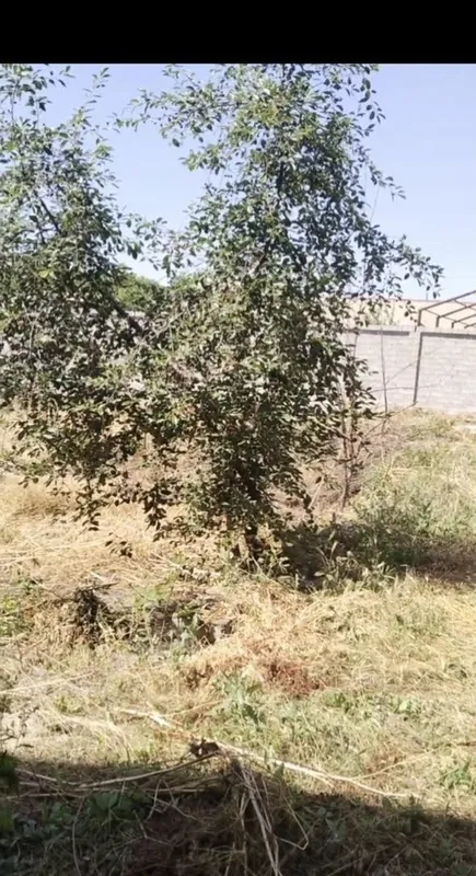 Uchastka sotiladi 5 Uchastka sotiladi 5