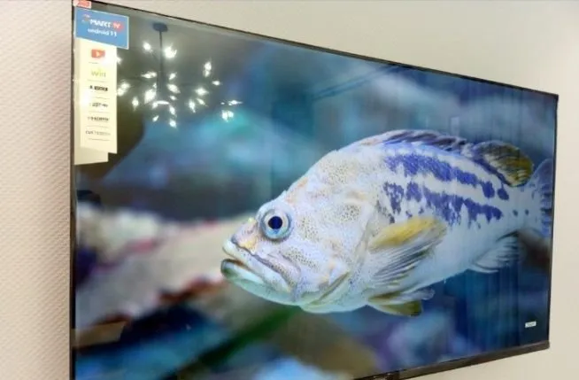 Samsung 43 Smart Samsung 43 Smart