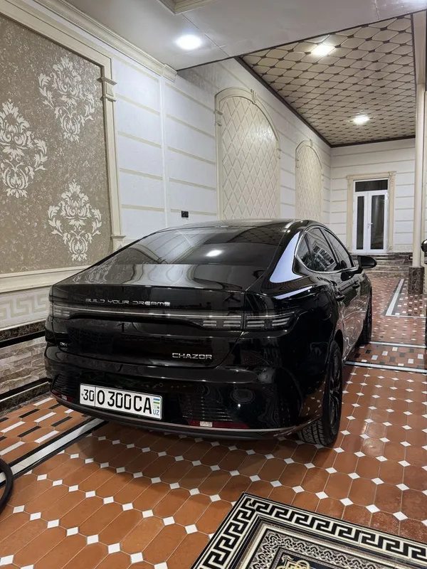 BYD CHAZOR 55km 2024 2 BYD CHAZOR 55km 2024 2