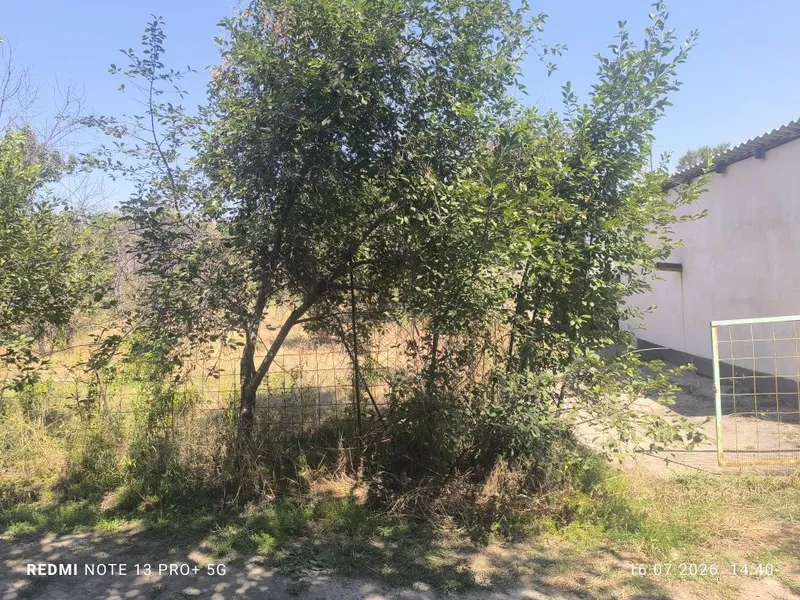 Uchastka, uy 6 sotx, 4 sotx zaxvati bor, Toshkent shahardan, 18 kilomt 4