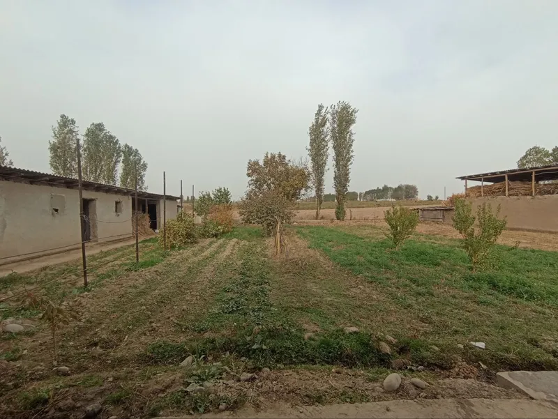 Hovli uy sotiladi. Yer hisobida — фото 6