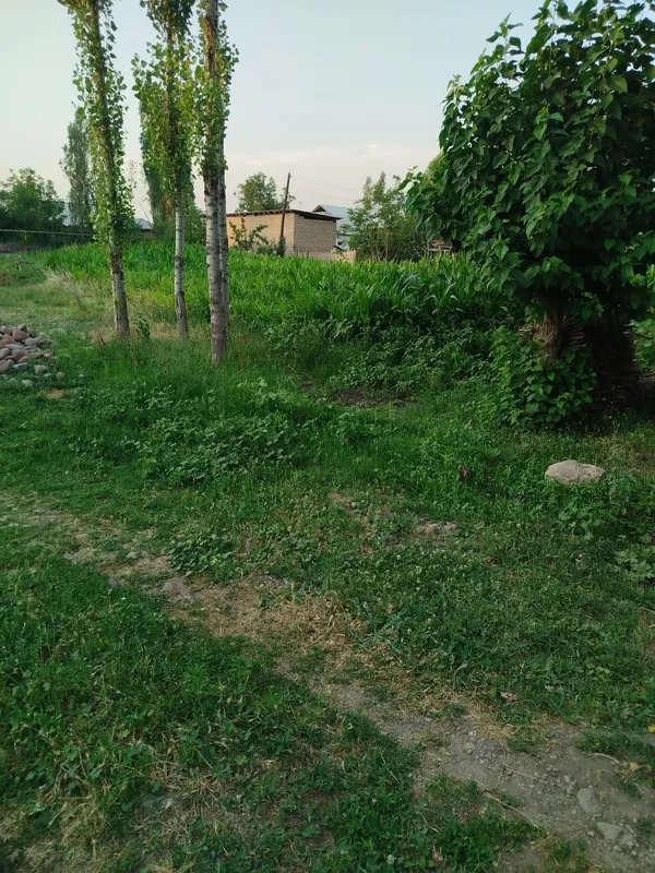 Участка арзон нархда чамбилда 4 Участка арзон нархда чамбилда 4