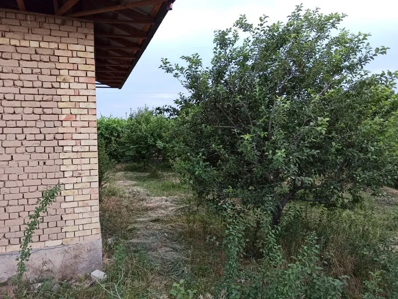 Продается участок с коробкой — фото 3