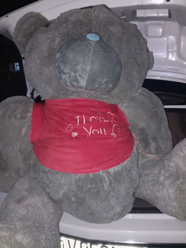 teddy