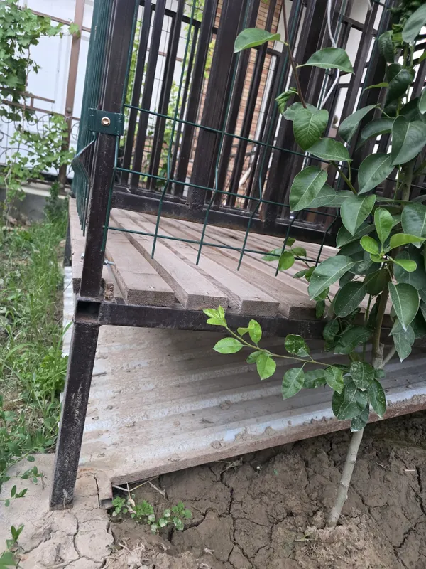 Qoʻyxona Куйхона — фото 4