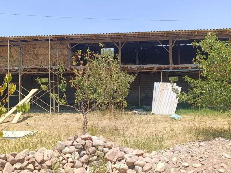 Mini ferma sotiladi 3