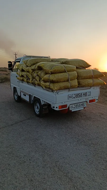 Labo taksi hizmati Olmaliq 24/7 aloqadamiz Labo taksi hizmati Olmaliq 24/7 aloqadamiz