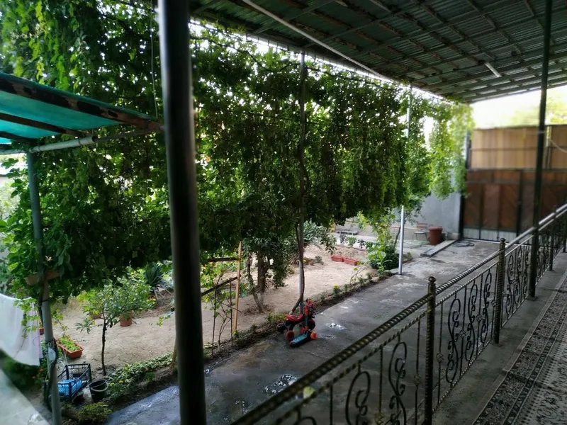 Yunus obod Gvardeyskiy oq tepa maxala 4.4 sotix 3