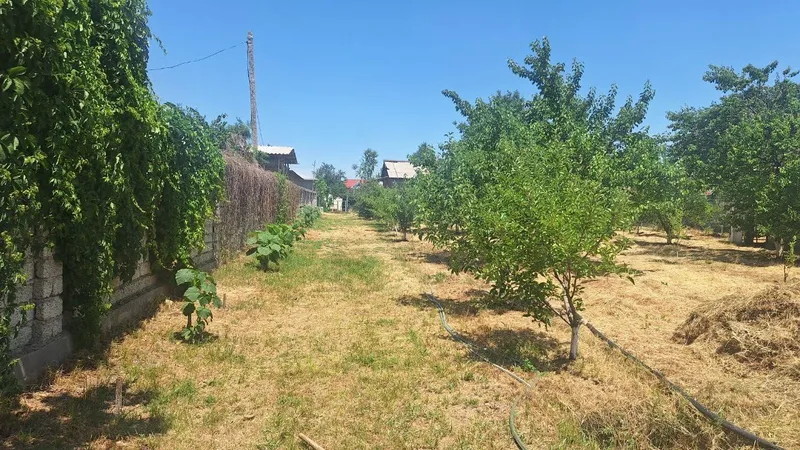 Продается дача в паркенте 7 Продается дача в паркенте 7