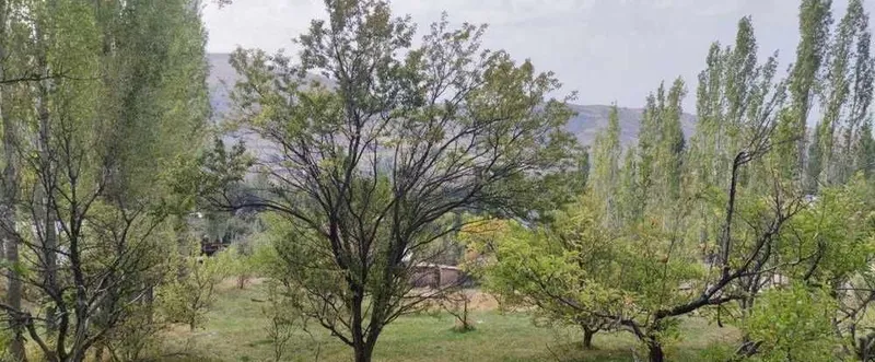 Продаётся участок в Чимгане — фото 4