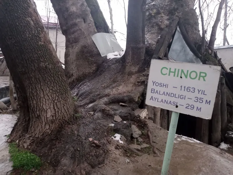 Гид на своём авто Экскурсия по г. Самарканд. 7 Гид на своём авто Экскурсия по г. Самарканд. 7