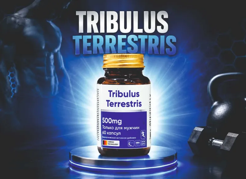 Tribulus Terrestris 500mg 60 ta kapsula 1 Tribulus Terrestris 500mg 60 ta kapsula 1