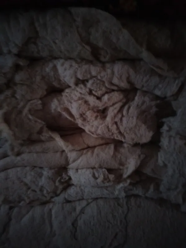 Korpa pahtasi kafolati bilan toza