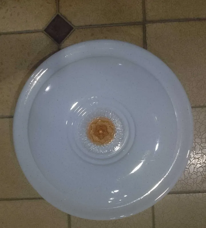 Plafon arzon narxda 3 Plafon arzon narxda 3